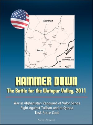 cover image of Hammer Down